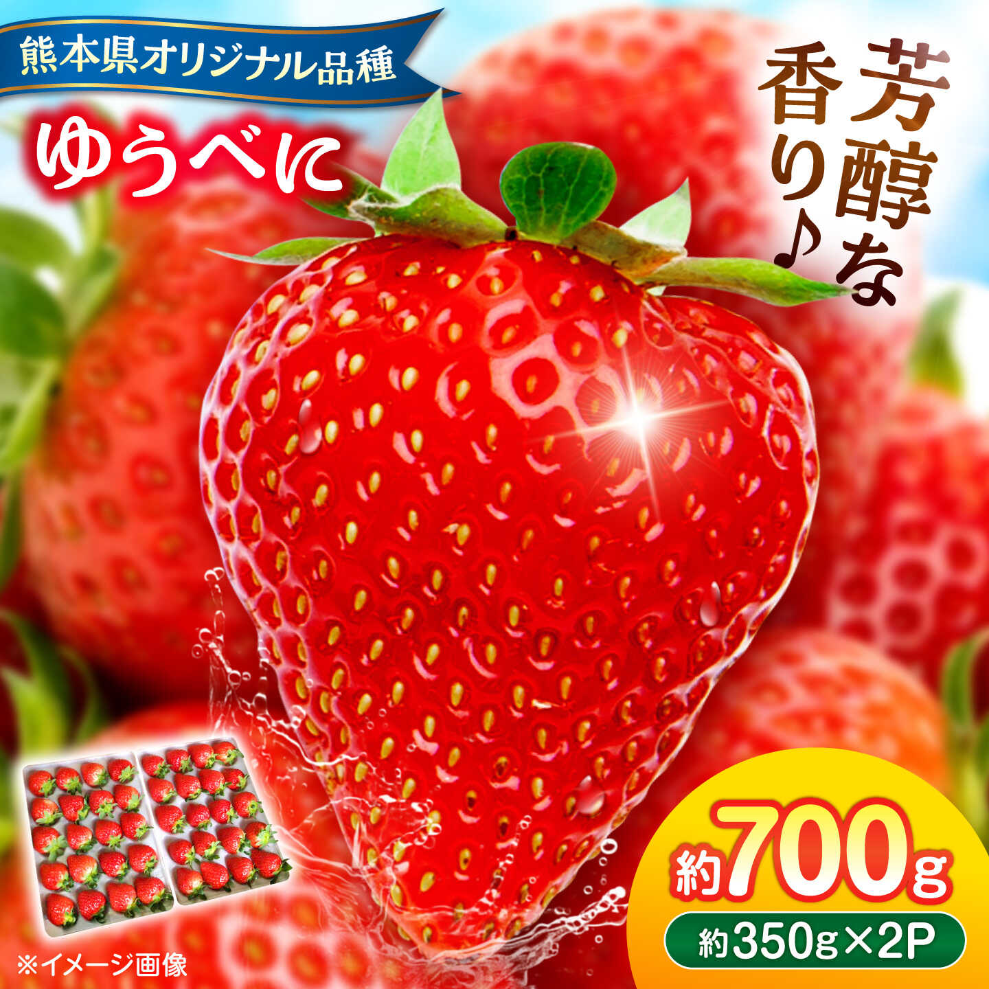 【先行予約】【2027年3月中旬より順次発送】いちご ゆうべに 百花園ファーム 約700g（約350g×2P）20粒/P Lサイズ 【株式会社合志百花園ファーム】[AYDW006]
