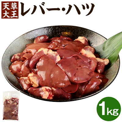 楽天ふるさと納税　【ふるさと納税】天草大王 レバー・ハツ 1kg 肝 鶏肉 冷凍 国産 熊本県 合志市 送料無料