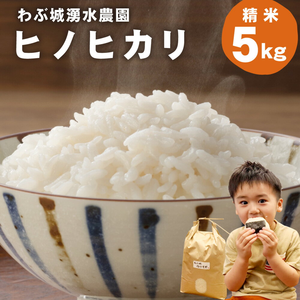 27位! 口コミ数「0件」評価「0」【令和5年産】わぶ城湧水農園 精米 5kg 森のくまさん 米 お米 白米 ご飯 国産 九州産 熊本県 合志市 送料無料