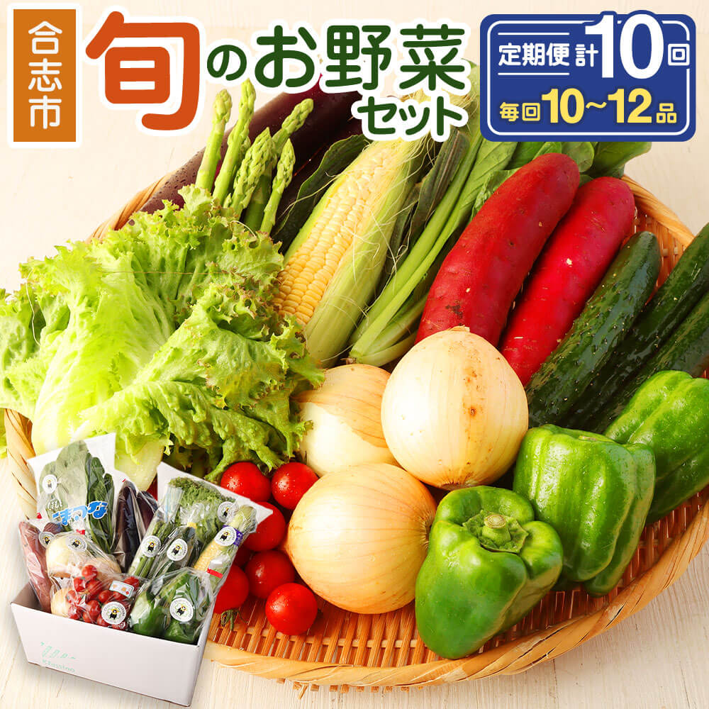 【ふるさと納税】【定期便】熊本県合志の旬のお野菜定期便 計10回コース 10回 おまかせ 野菜 季節の野菜 新鮮 旬 詰め合わせ 国産 九州産 熊本県 合志市 送料無料