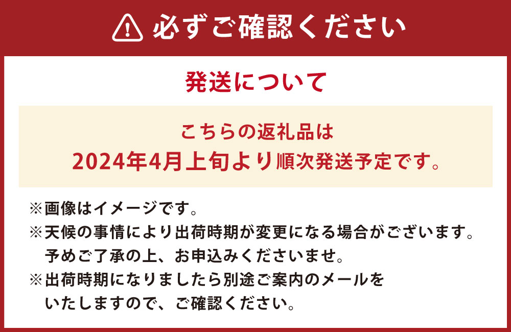 【ふるさと納税】熊本県 合志市産 大玉すいか 春のだんらん 2玉入 約10kg～12kg 国産 熊本 合志 送料無料【2024年4月上旬～2024年5月下旬発送予定】