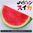 【ふるさと納税】ハロウィンスイカ1玉入(品種:ひときわ 1玉...