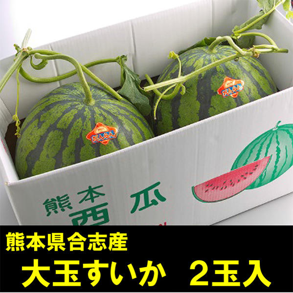 【ふるさと納税】熊本県 合志市産 大玉すいか 春のだんらん 2玉入 約10kg～12kg 国産 熊本 合志 送料...