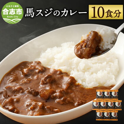 馬スジのカレー 10食セット 合計2.1kg 210g×10個 カレー レトルト 惣菜 馬すじ 馬肉 保存食 非常食 長期保存 熊本県 合志市 送料無料