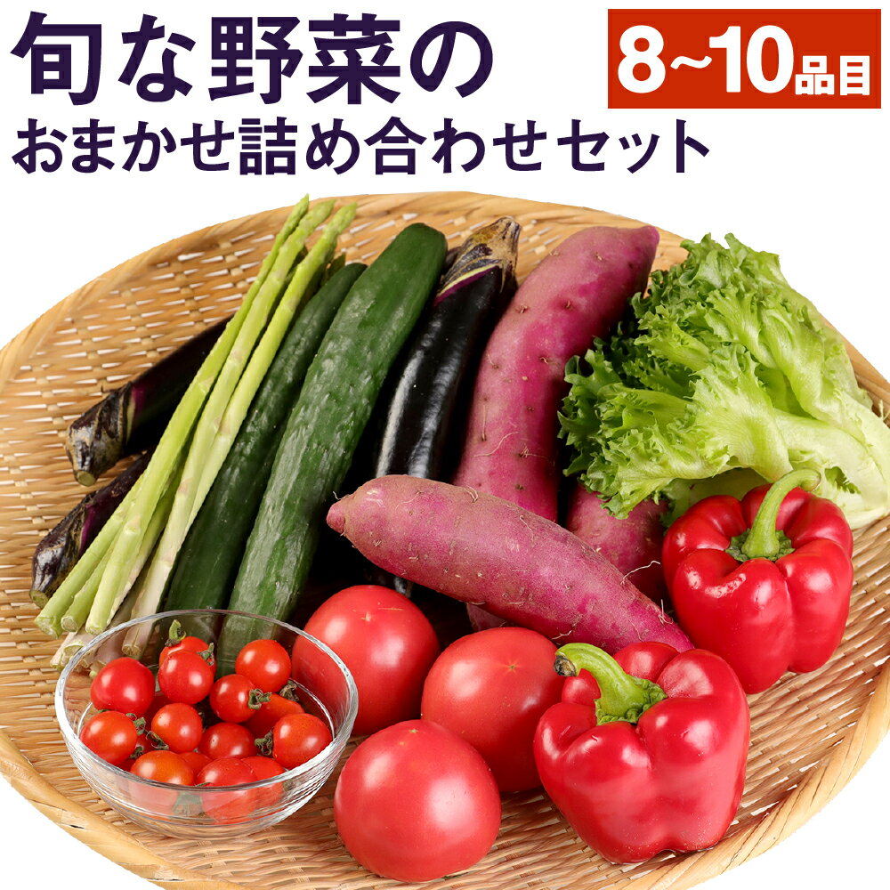 旬な野菜のおまかせ詰め合わせセット 8〜10品目 5kg以内 旬 野菜 詰め合わせ 野菜詰め合わせ おまかせ 野菜セット セット 季節の野菜 新鮮 国産 九州産 熊本県産 送料無料