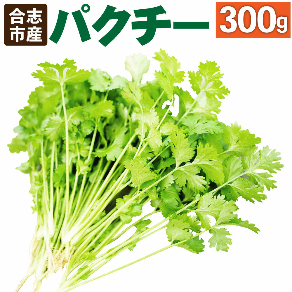 【ふるさと納税】合志市産 パクチー 300g 1袋 コリアンダー 香菜 シャンツァイ コエンドロ ハ ...