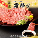 【ふるさと納税】熊本直送 馬刺し 大トロ400g+ユッケ400g 合計800g(美里町)【配送不可地域:離島】【1383859】