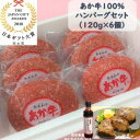 【ふるさと納税】あか牛100%ハンバーグセット(あか牛ハンバーグ120g×6個 あか牛のたれ200ml)(美里町)【配送不可地域:離島】【1444416】