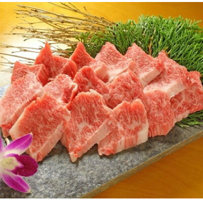 【ふるさと納税】あか牛カルビ焼肉セット(あか牛バラカルビ400g あか牛のたれ200ml付き)(美里町)_ あか牛 カルビ 焼肉セット バラカルビ たれ付き 熊本 牛肉 焼肉用 冷凍 美味しい 人気 おすすめ【配送不可地域：離島】【1444426】 f433489-misato-10000985 熊本県美里町 サンプル画像2