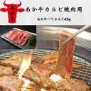 【ふるさと納税】あか牛カルビ焼肉用(あか牛バラカルビ400g)(美里町)【配送不可地域:離島】【1542414】