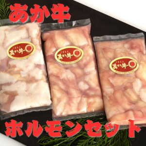 【ふるさと納税】熊本県産 あか牛 牛小腸 ホルモンセット600g(200g×3パック)(美里町)【配送不可地域:離島】【1555102】