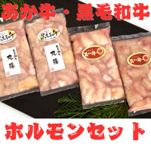 【ふるさと納税】熊本県産 黒毛和牛(丸腸)200g×2個・あか牛(小腸)200g×2個 ホルモン計800g(美里町)【配送不可地域:離島】【1555107】