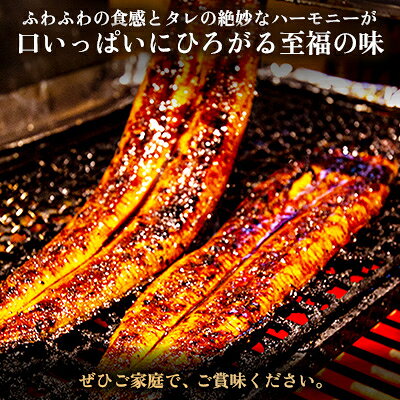 【ふるさと納税】鰻の名店『うな雅』国産鰻【特上】かば焼き 2尾 350g～380g/3尾 540g～580g【配送不可地域：離島】【G1600553】 f433489-misato-10000932 熊本県美里町 サンプル画像3