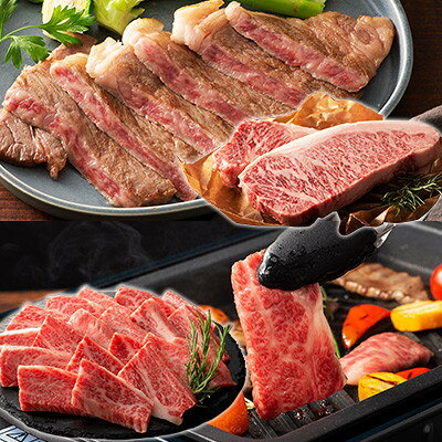 【ふるさと納税】くまもと黒毛和牛「藤彩牛」厳選4種の贅沢セット(美里町)【配送不可地域：離島】【1608132】 f433489-misato-10001074 熊本県美里町 サンプル画像3