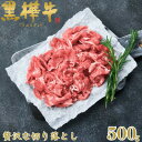 【ふるさと納税】くまもと黒毛和牛 黒樺牛 A4~A5等級 牛肉切り落とし 500g【杉本本店】(美里町)【配送不可地域:離島】【1617223】