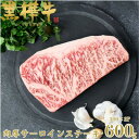 【ふるさと納税】くまもと黒毛和牛 黒樺牛 A4〜A5等級 牛肉肉厚サーロインステーキ 600g【杉本本店】美里町【配送不可地域:離島】【1617227】