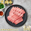 【ふるさと納税】くまもと黒毛和牛 黒樺牛 A4~A5等級 牛肉カルビ 500g 250g×2【杉本本店】(美里町)【配送不可地域:離島】【1617228】