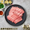 【ふるさと納税】くまもと黒毛和牛 黒樺牛 A4~A5等級 牛肉カルビ 750g(250g×3)【杉本本店】(美里町)【配送不可地域:離島】【1617812】