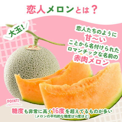 【ふるさと納税】【先行予約】熊本県 美里町産 稀少な上田農園の「恋人メロン」 計2.8kg以上(2玉～3玉) 赤肉【1623920】