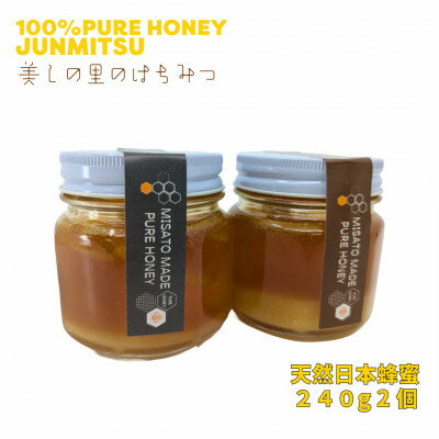 [数量限定]熊本県 美里町 はちみつ 純蜜 240g×2個[中蓮寺農園]
