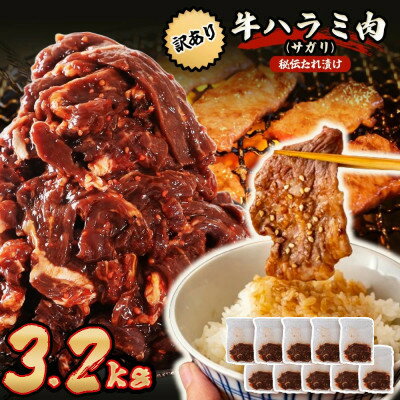 Rakuten - 【ふるさと納税】秘伝たれ漬け 訳あり 柔らか牛ハラミ(サガリ)肉 味付け合計3.2kg 小分け10パック【配送不可地域：離島】【1718569】