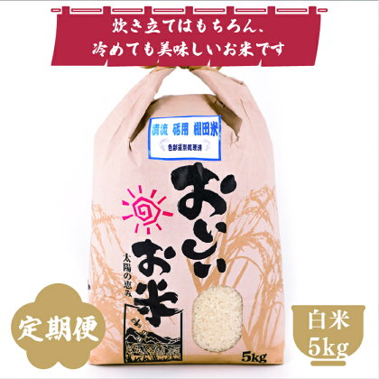 12ヶ月 定期便 清流 砥用の棚田米 白米 5kg 熊本 美里町 ヒノヒカリ 単一原料米