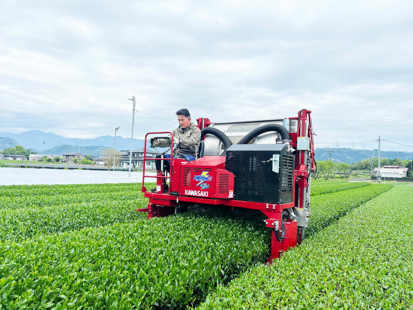 【ふるさと納税】 GABA紅茶 2袋 セット 熊本 美里町 JAS認証 GABA さえあかり 茶 ティーバック 熊本県 ティー tea bag 有機認証 農薬不使用 化学肥料不使用 有機肥料 3