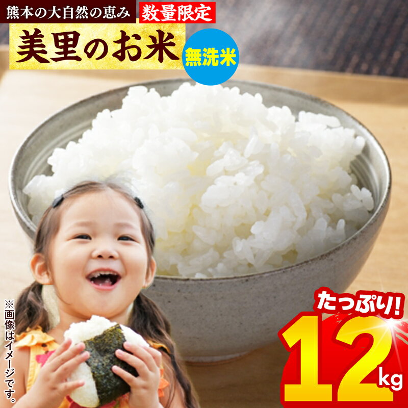 [限定1000セット]美里のお米 無洗米 12kg - 無洗米 白米 お米 大容量 数量限定