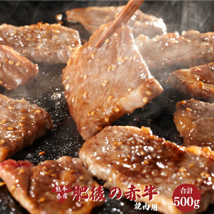 肥後の赤牛 焼肉用 500g 熊本 美里町 くまもとあかうし 焼肉 熊本県 焼肉 牛 肉 赤牛 牛肉[価格変更]