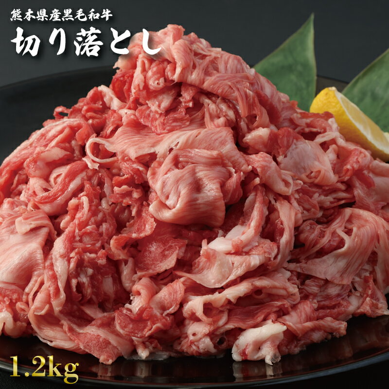 熊本県産 黒毛和牛 A4～A5等級 切り落とし セット 総重量1.2kg 熊本 美里町 黒毛 和牛 牛肉 冷凍 肉じゃが 牛丼 盛合せ カレー