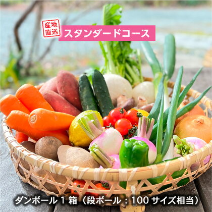 美里 の 特産品 詰め合わせ スタンダードコース 季節の野菜 や 特産品をお届け 熊本 美里町 や 道の駅 佐俣の湯
