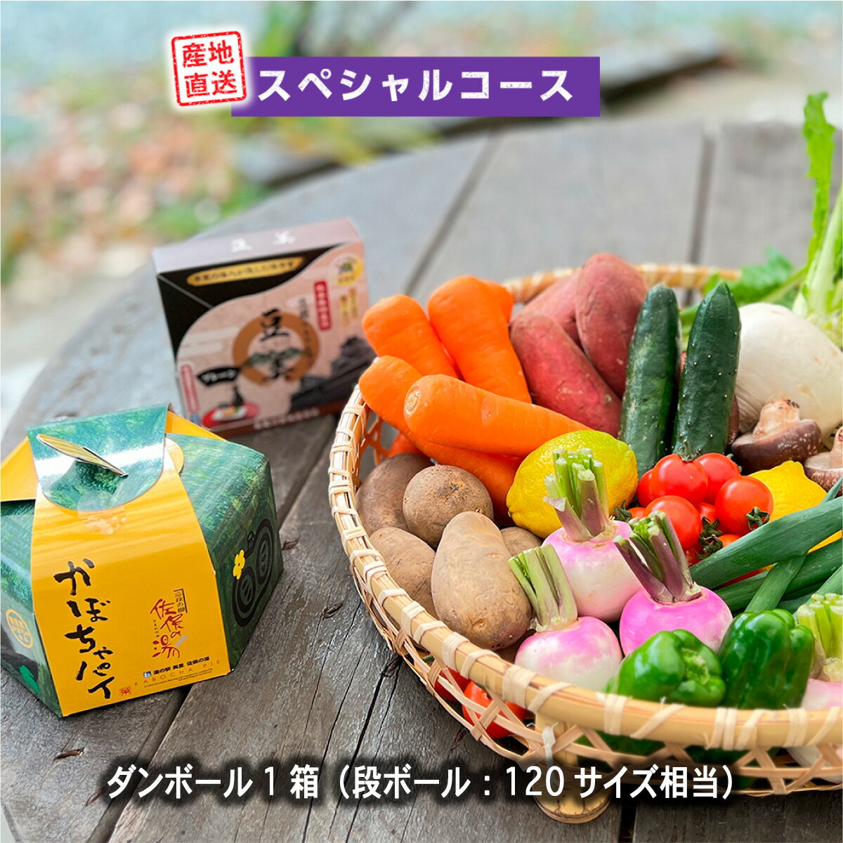 美里 の 特産品 詰め合わせ スペシャルコース 季節の野菜 や 特産品をお届け 熊本 美里町 や 道の駅 佐俣の湯