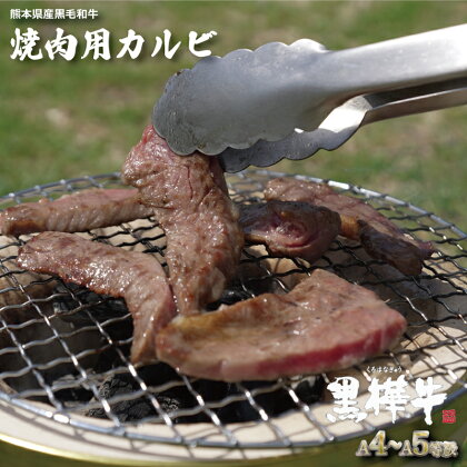 熊本県産 黒毛和牛 黒樺牛 A4～A5等級 焼肉用 カルビ 500g 熊本県 牛肉 肉 杉本本店 国産