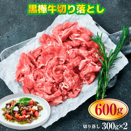 黒樺牛切り落とし600g 送料無料 牛肉 切り落とし 焼肉 美里町 牛肉 すき焼き しゃぶしゃぶ スライス肉 小分け 牛丼 食品 肉類 切落し 042-469