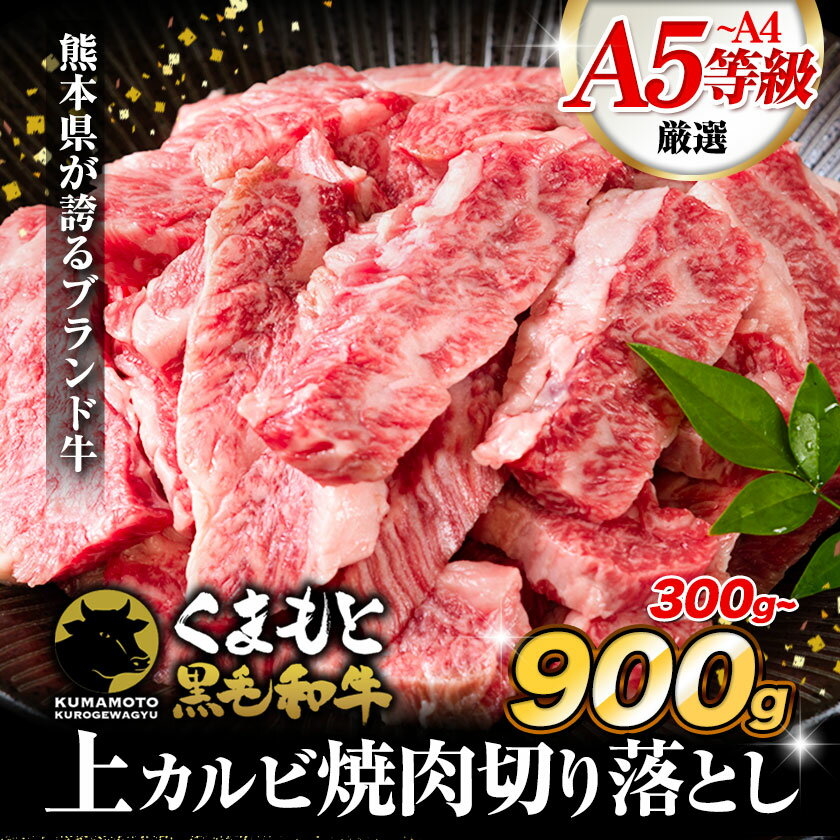 【ふるさと納税】くまもと黒毛和牛 上 カルビ 焼肉 切り落とし 300g 600g 900g《60日以内に出荷予定(土日祝除く)》熊本県 玉東町 上カルビ 焼肉用 黒毛和牛 焼肉 肉 お肉 和牛 A5 A4 300g 小分け A4〜A5等級 黒毛和牛 切り落とし