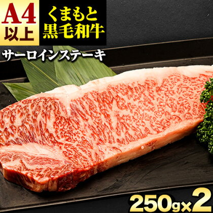 くまもと黒毛和牛 サーロインステーキ 500g (250g x 2枚) 牛肉 冷凍 《30日以内に出荷予定(土日祝除く)(土日祝除く)》 くまもと黒毛和牛 黒毛和牛 冷凍庫 個別 取分け 小分け 個包装 ステーキ肉 にも サーロインステーキ