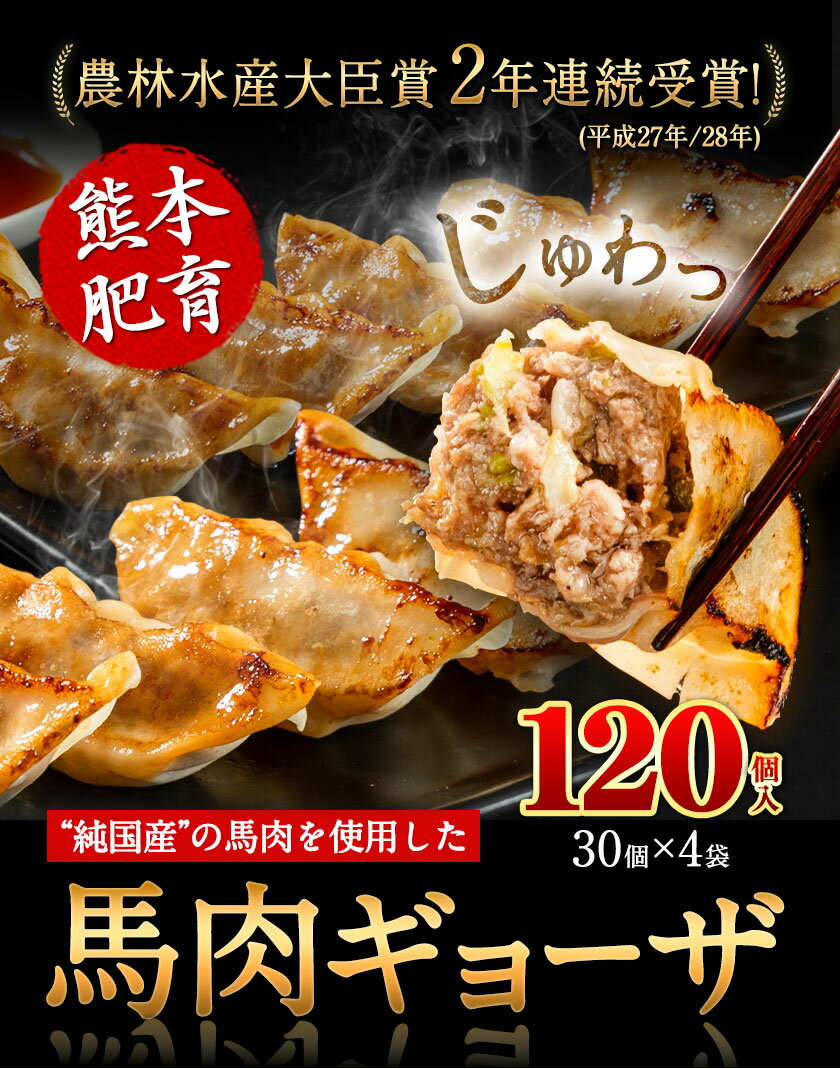 【ふるさと納税】馬肉 餃子 ギョーザ 120個 30個 × 4袋《30日以内に出荷予定(土日祝除く)》熊本県 玉東町 純国産馬肉 簡易包装 熊本肥育 ぎょうざ 馬
