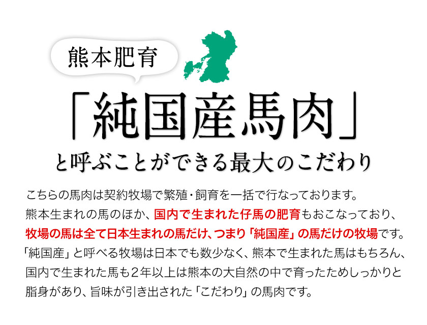 【ふるさと納税】馬肉 餃子 ギョーザ 120個 30個 × 4袋《30日以内に出荷予定(土日祝除く)》熊本県 玉東町 純国産馬肉 簡易包装 熊本肥育 ぎょうざ 馬