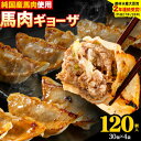 馬肉 餃子 ギョーザ 120個 30個 × 4袋《30日以内に出荷予定(土日祝除く)》熊本県 玉東町 純国産馬肉 簡易包装 熊本肥育 ぎょうざ 馬