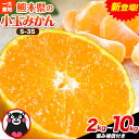 【ふるさと納税】訳あり みかん 小玉みかん くまもと小玉みかん 2kg 5kg 10kg 秋 旬 不揃い 傷 ご家庭用 SDGs 小玉 たっぷり 熊本県 産 S...