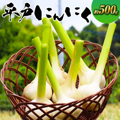 『合同会社ビーンズ』のにんにく 約500g《5月中旬‐8月中旬頃出荷》熊本県 玉名郡 玉東町