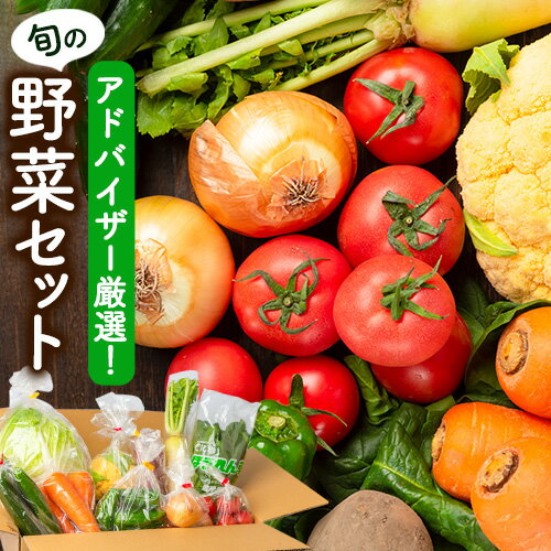 季節の野菜詰め合わせセット 8〜10品目 [30日以内に出荷予定(土日祝除く)]ゆめ・ステーション・このは 旬 野菜 新鮮 美味しい おまかせ 詰め合わせ 産地直送 厳選 熊本県 玉名郡 玉東町 送料無料