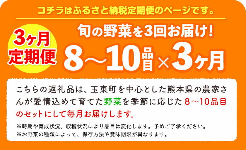 【ふるさと納税】【3ヶ月定期便】 季節の野菜詰め合わせセット 8～10品目 《お申込み月の翌月から出荷開始》ゆめ・ステーション・このは 定期 旬 野菜 新鮮 美味しい おまかせ 詰め合わせ 産地直送 厳選 熊本県 玉名郡 玉東町 定期便 送料無料