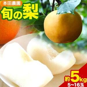 【ふるさと納税】【日付指定不可】『本田農園』旬の梨 約5kg 5~16玉 本田農園《8月下旬-10月上旬頃出荷》 熊本県玉名郡玉東町 梨 なし 果物 旬