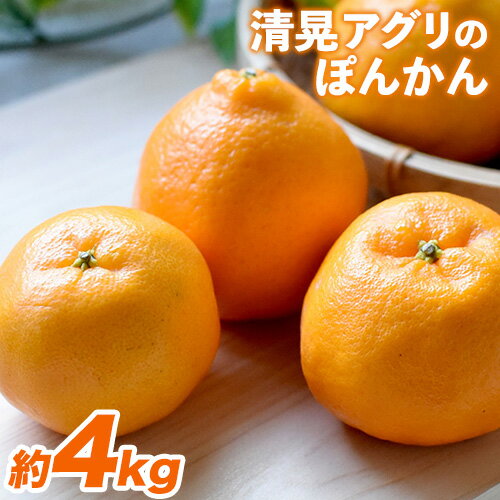 【ふるさと納税】柑橘 ポンカン 先行予約 『清晃アグリ』 ポ