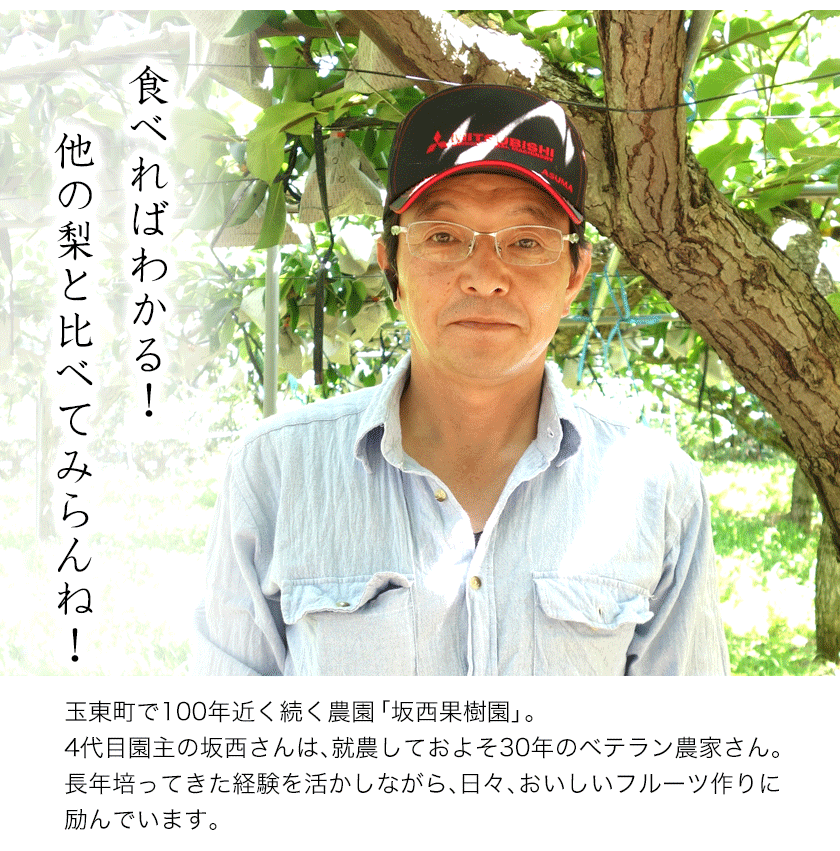 【ふるさと納税】『坂西果樹園』の豊水梨 期間限定 たっぷり約5kg(8-15玉前後)こだわり抜かれた栽培方法！予約受付中 熊本県玉名郡玉東町産 梨 なし 豊水 果物 スイーツ フルーツ デザート スムージー 熊本県玉東町《8月上旬-9月上旬頃出荷》