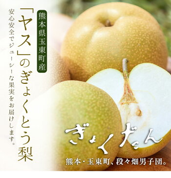 ぎょくだん『ヤス』のぎょくとう梨 約5kg (サイズおまかせ 10玉-16玉前後) 熊本県玉名郡玉東町『熊本・玉東、玉東町段々畑男子団。』【ふるさと納税】なし ぷらっとぎょくとう《8月上旬-8月下旬頃より順次出荷》