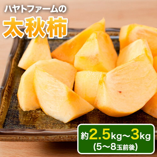 【ふるさと納税】50年以上の歴史を持つ『ハヤトファーム』の太秋柿! シャキシャキ食感とすっきり後味 約2.5kg～3kg 5-8玉前後 予約受付中 フルーツ 秋 旬 柿 《10月中旬-11月中旬頃出荷》のサムネイル