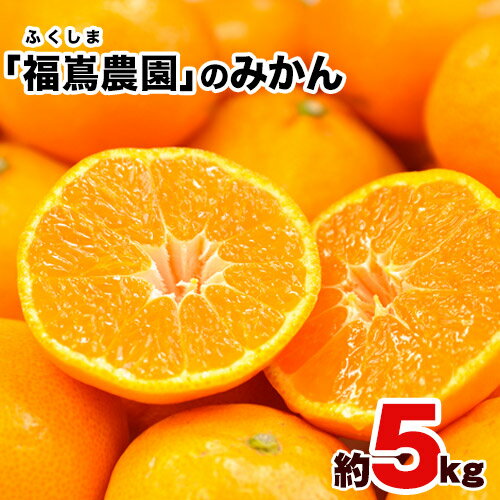 【ふるさと納税】訳あり みかん 旬 大容量 約5kg(2S-2Lサイズ) 予約受付中 フルーツ 秋 ...