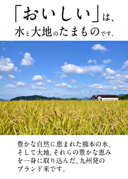 【ふるさと納税】★平成29年産★【5年連続特A】森のくまさん10kg＋今だけ国産21雑穀米おまけ♪熊本県産ブランド米と安心安全の国産雑穀米の期間限定セット♪《7〜10営業日以内に順次出荷(土日祝除く)》